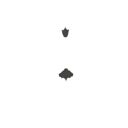 64